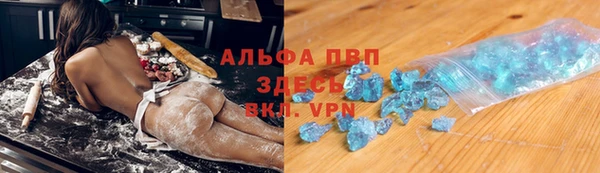 гашик Пересвет