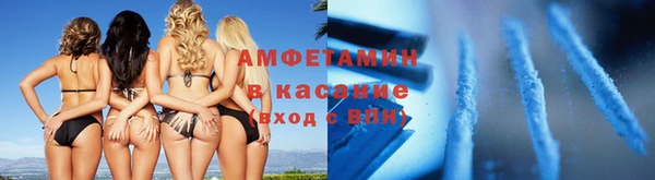 молекула духа Арсеньев