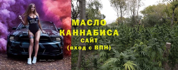 молекула духа Арсеньев