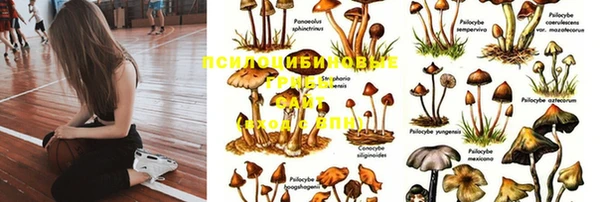 гашиш Аркадак