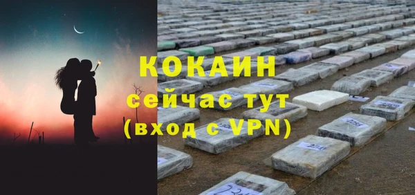 стаф Пестово