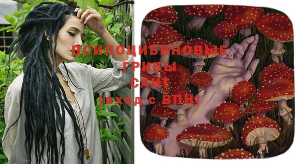 молекула духа Арсеньев