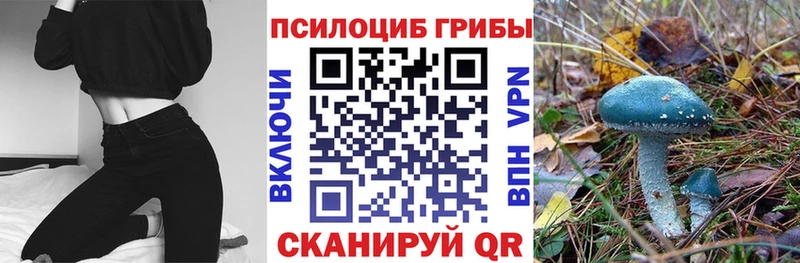 MEGA ссылки Таруса Псилоцибиновые грибы прущие грибы